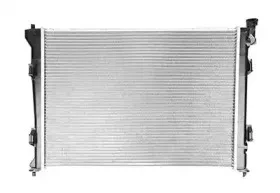 Радиатор, охлаждение двигателя BSG купить